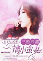 三婚小说在线阅读全文
