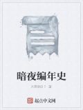 暗夜编年史DarK是个什么公司