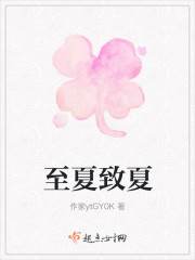 至夏是什么