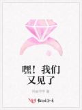 我们又见面了英语怎么读