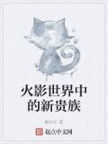 火影世界中的新贵族是什么