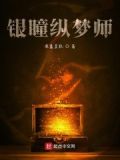 银瞳txt