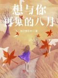 想和你再见一面歌词是什么意思