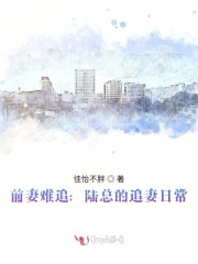 前妻难追:陆总的追妻日常免费阅读