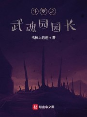 斗罗之武魂本源 小说