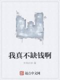 我不缺钱小说