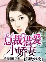 总裁猎爱小逃妻