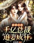 新婚出逃千亿总裁追妻成狂全文免费阅读