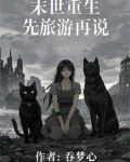 长篇末世小说完本
