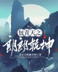 包公探案10个故事