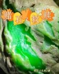 毛料是什么材料做的