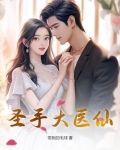 圣手大医仙txt