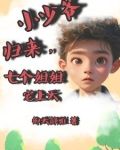 我家少爷 小说