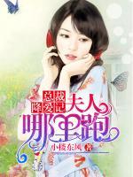 总裁降爱记夫人哪里跑