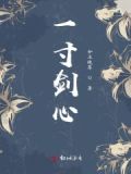 一寸一心