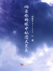 倘若你的眼中似漫天星辰的意思