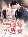 总裁的隐婚小妻子