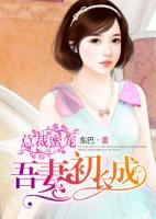 总裁吾妻晋江