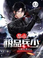 都市极品兵少 小说