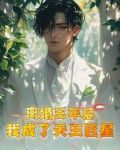 离婚三年后,我成了天王巨星 步步惊风