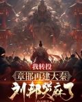 被刘邦驱赶后,我重建大秦TXT 奇书网